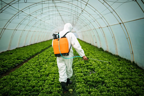 Best Residential Pest Control  in Florida, NY