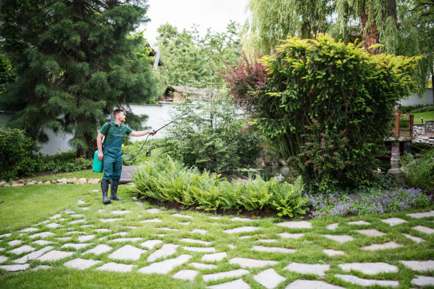 Best Insect Control  in Florida, NY