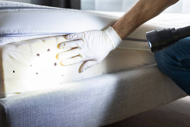 Best Pest Control for Restaurants  in Florida, NY