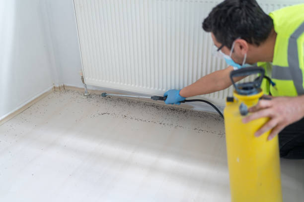 Best Pest Control Near Me  in Florida, NY