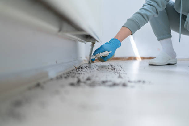 Best Commercial Pest Control Services  in Florida, NY