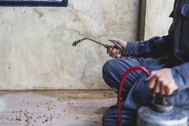 Best Affordable Pest Control Services  in Florida, NY